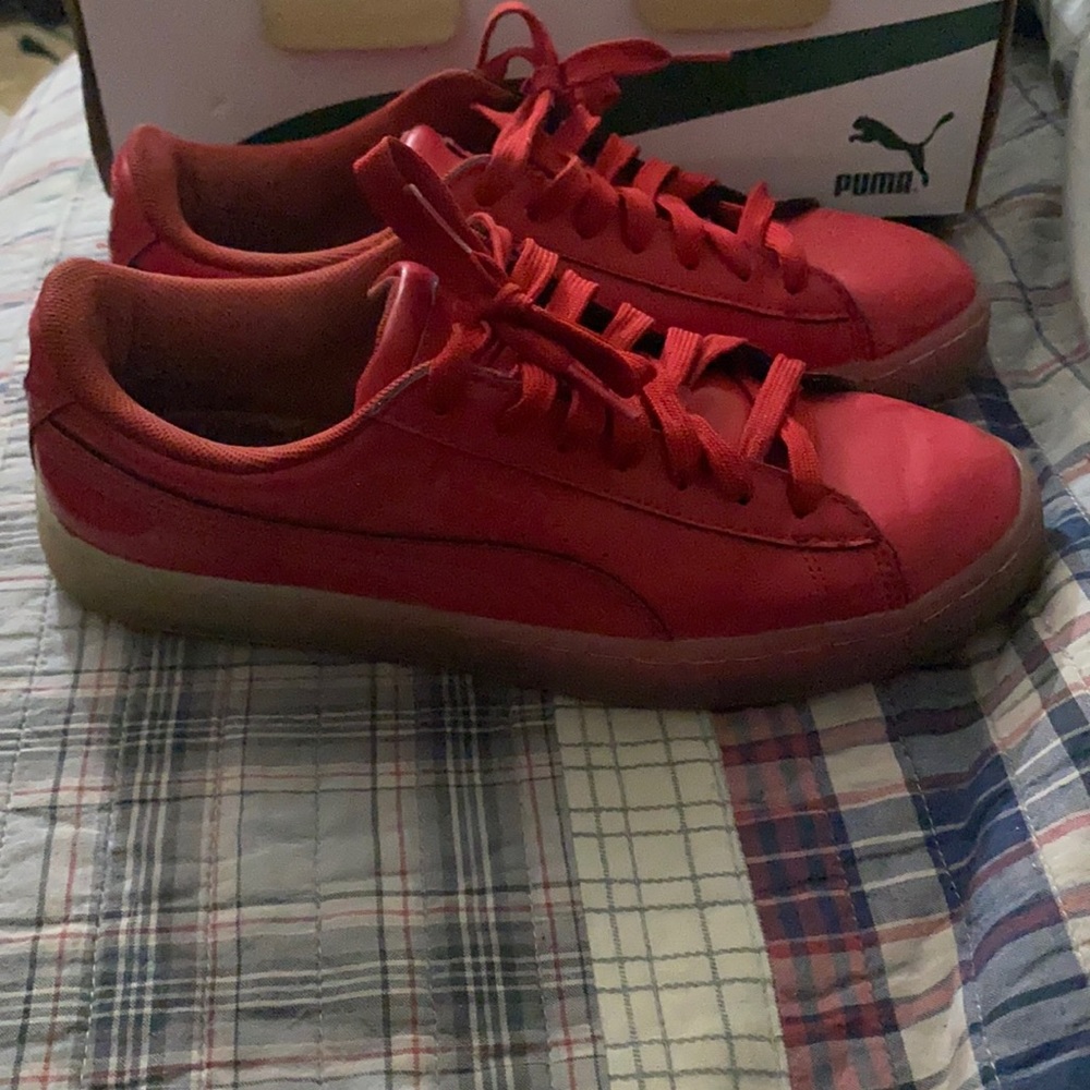 pumas